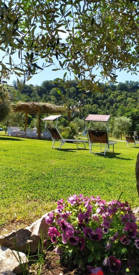 Tenuta Calidarius Baia  Extérieur photo