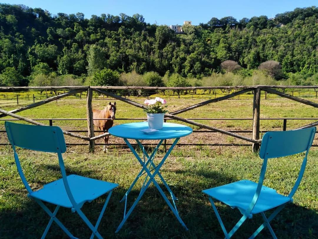Tenuta Calidarius Baia  Extérieur photo