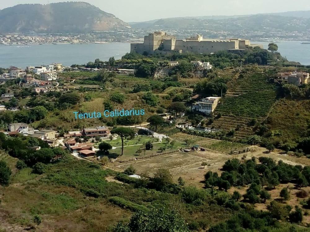 Tenuta Calidarius Baia  Extérieur photo